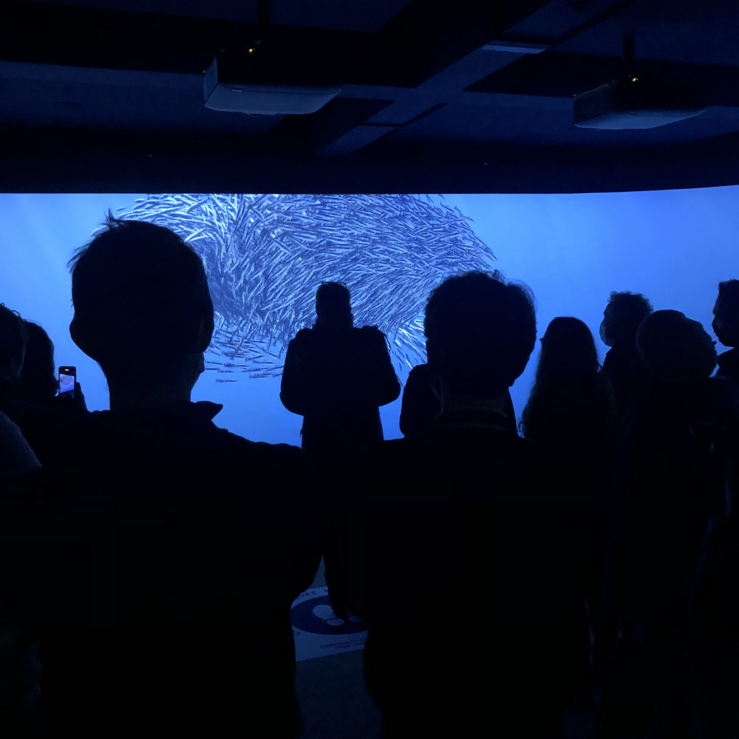 NUMIX LAB à PARIS exposition immersive